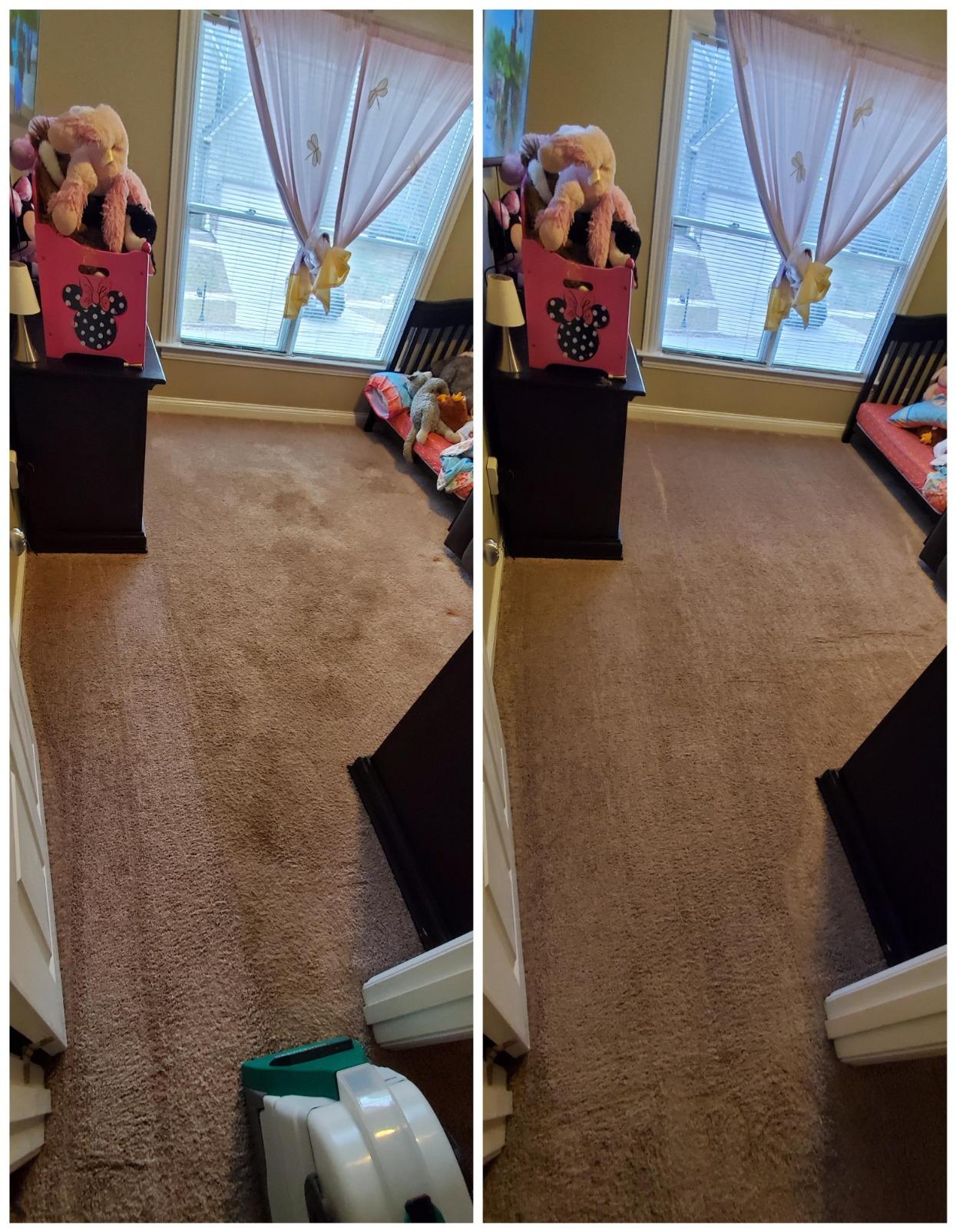 BISSELL Big Green Professional Carpet Cleaner with XL DirtLifter PowerBrush, 9-inch Long Reach Hose, 6-inch Tough Stain Tool customer photo 2