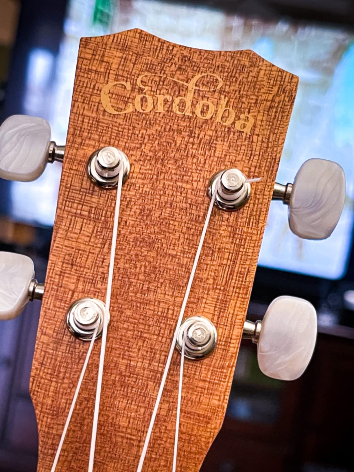 Cordoba 15SM Soprano Ukulele - Hand Crafted Mahogany Top, Back & Sides with Satin Finish & Premium Aquila Strings customer photo 2