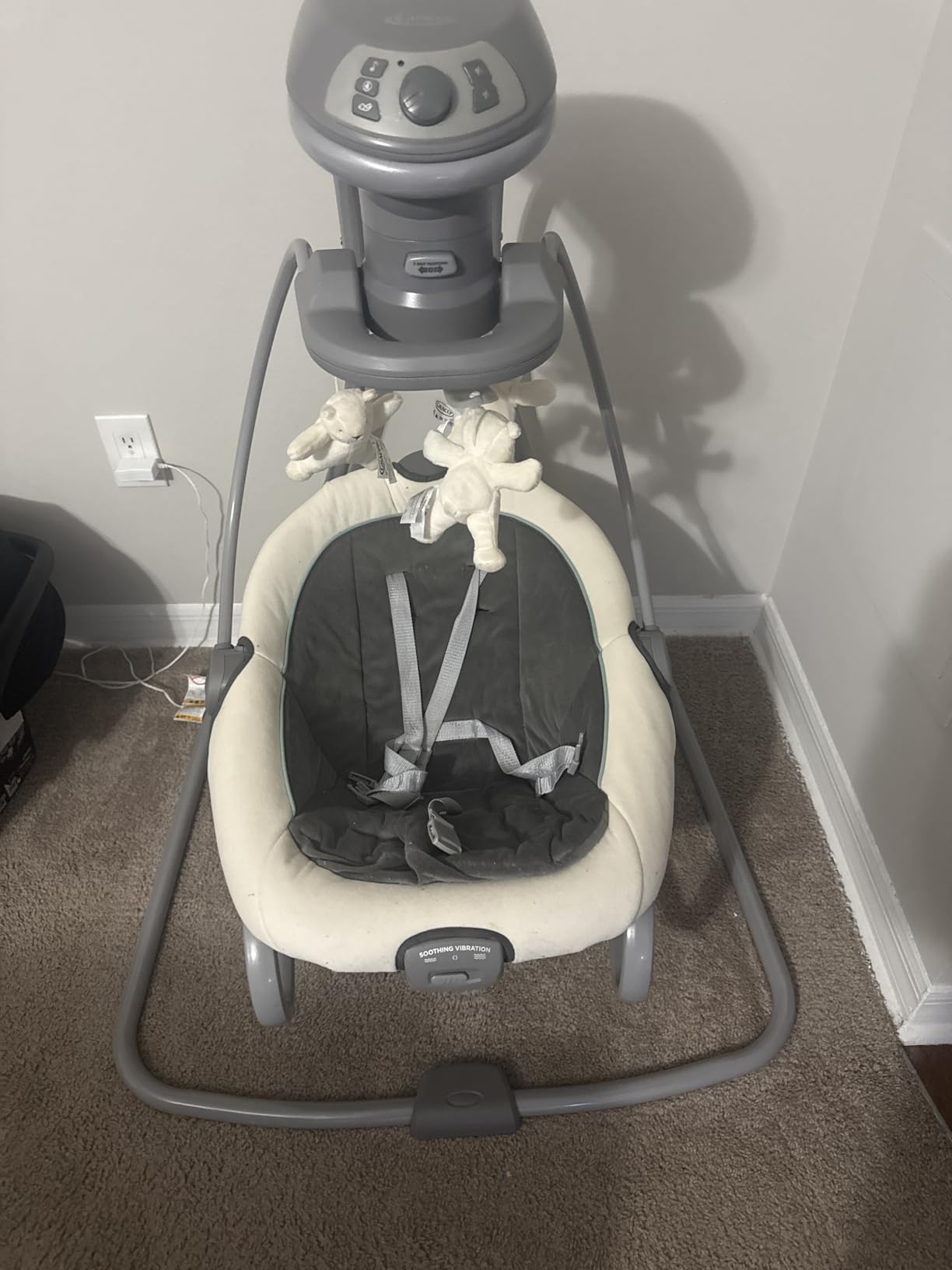 Graco DuetSoothe Swing and Rocker with Removable Swing Seat and 6 Swinging Speeds customer photo 2
