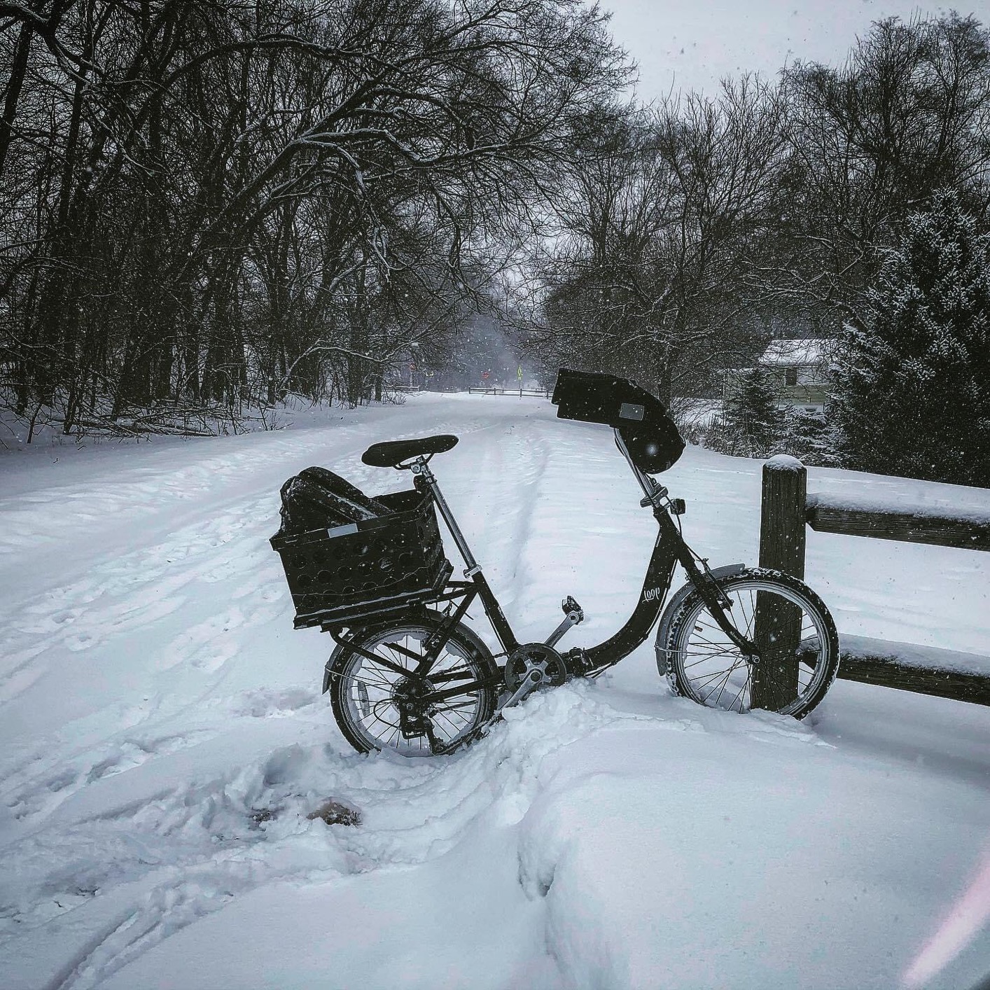 Schwinn Loop 20-inch Folding Bicycle customer photo 2