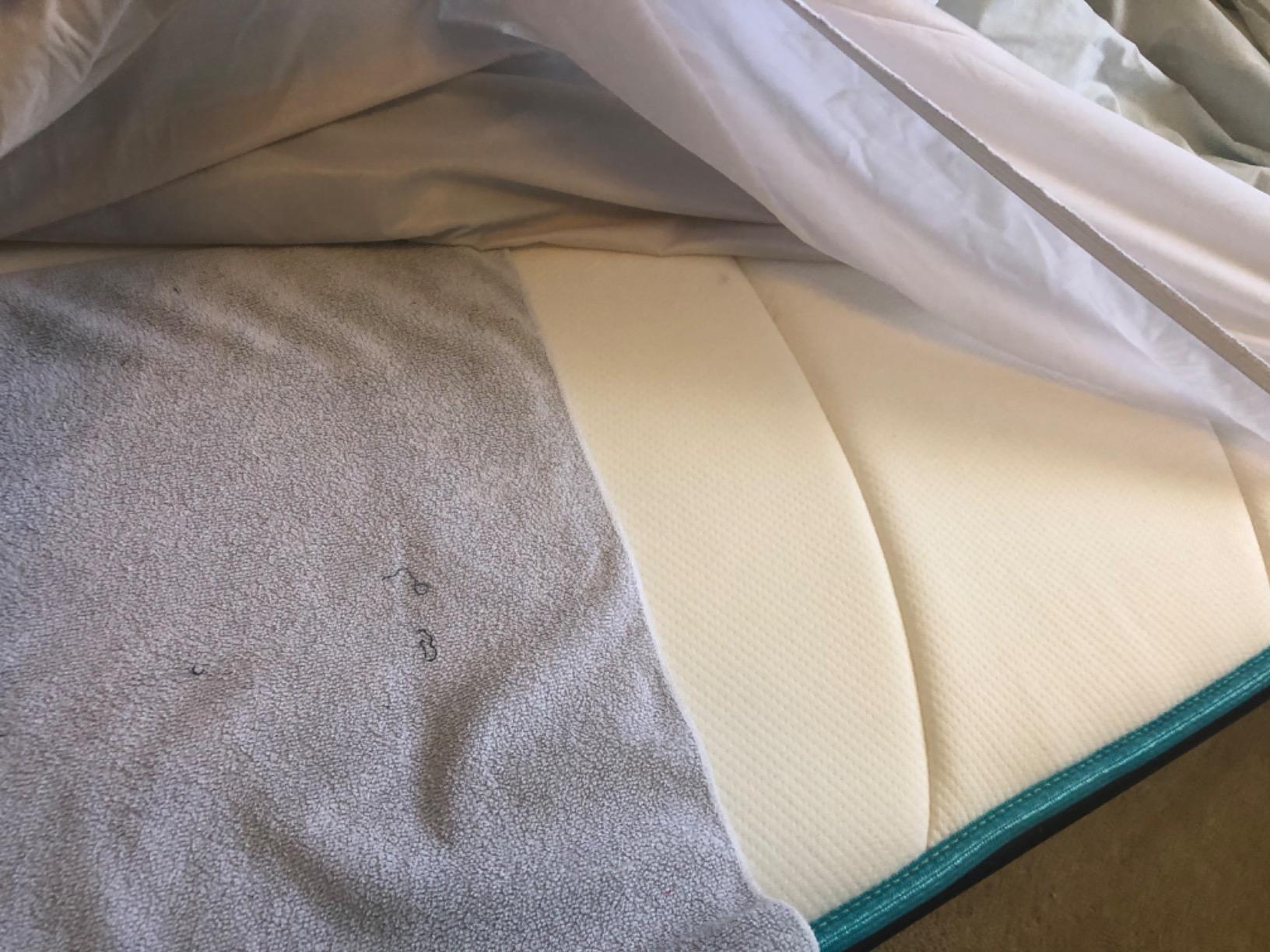 Linenspa Waterproof Mattress Protector, Queen Size - Fitted Sheet Style, Breathable, Machine Washable & Dryer Safe, White customer photo 1