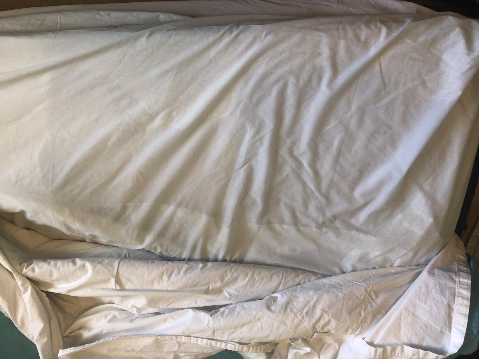 Linenspa Waterproof Mattress Protector, Queen Size - Fitted Sheet Style, Breathable, Machine Washable & Dryer Safe, White customer photo 2