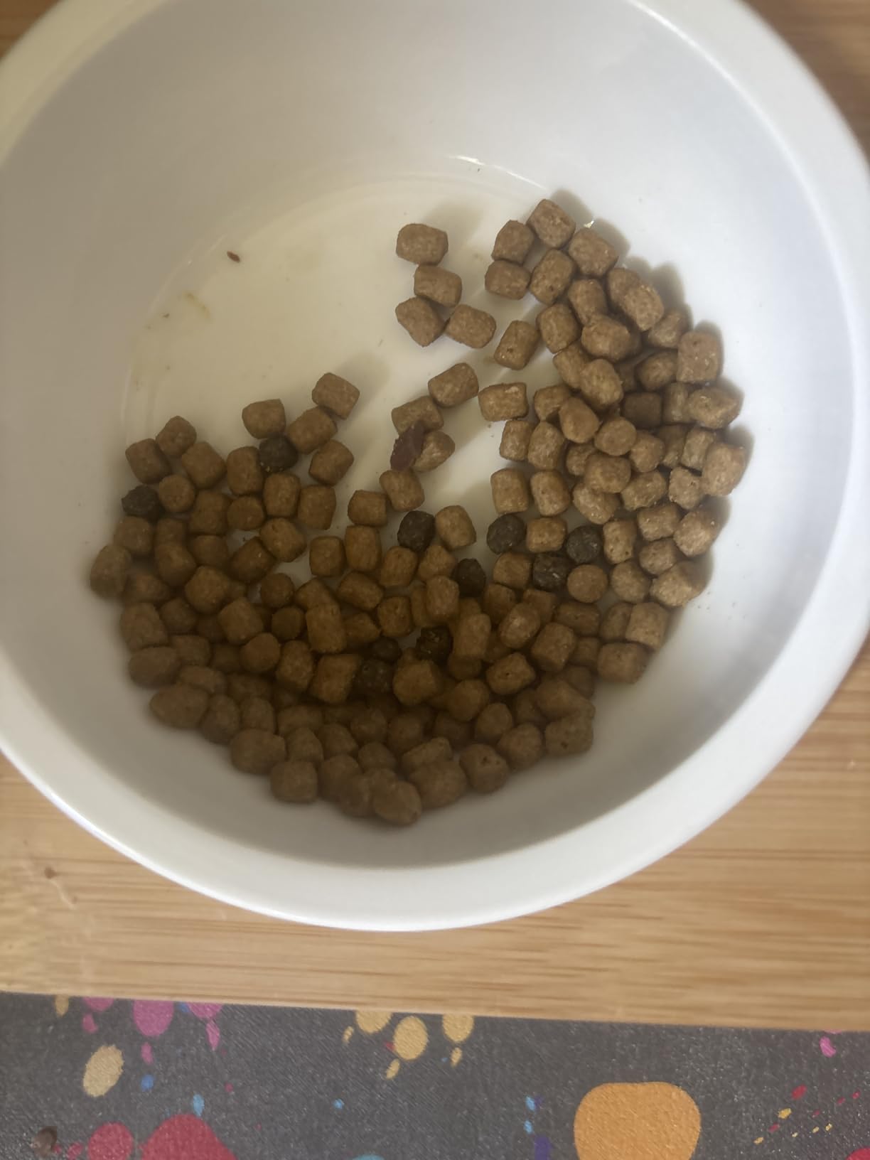Blue Buffalo Wilderness Chicken Natural High-Protein Grain-Free Dry Food for Adult Indoor Cats, Real Chicken First, Antioxidant-Rich LifeSource Bits Support Immunity, Promotes Strong Muscles, 11 lbs. customer photo 2