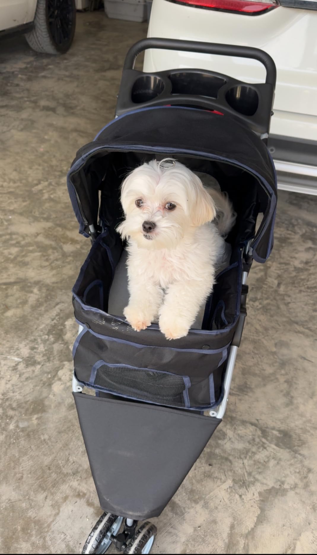 BestPet 3-Wheel Pet Stroller, Dog and Cat Stroller, Breathable Mesh, Lightweight Travel Carrier, Waterproof & Foldable Design, Storage Basket, Black customer photo 1