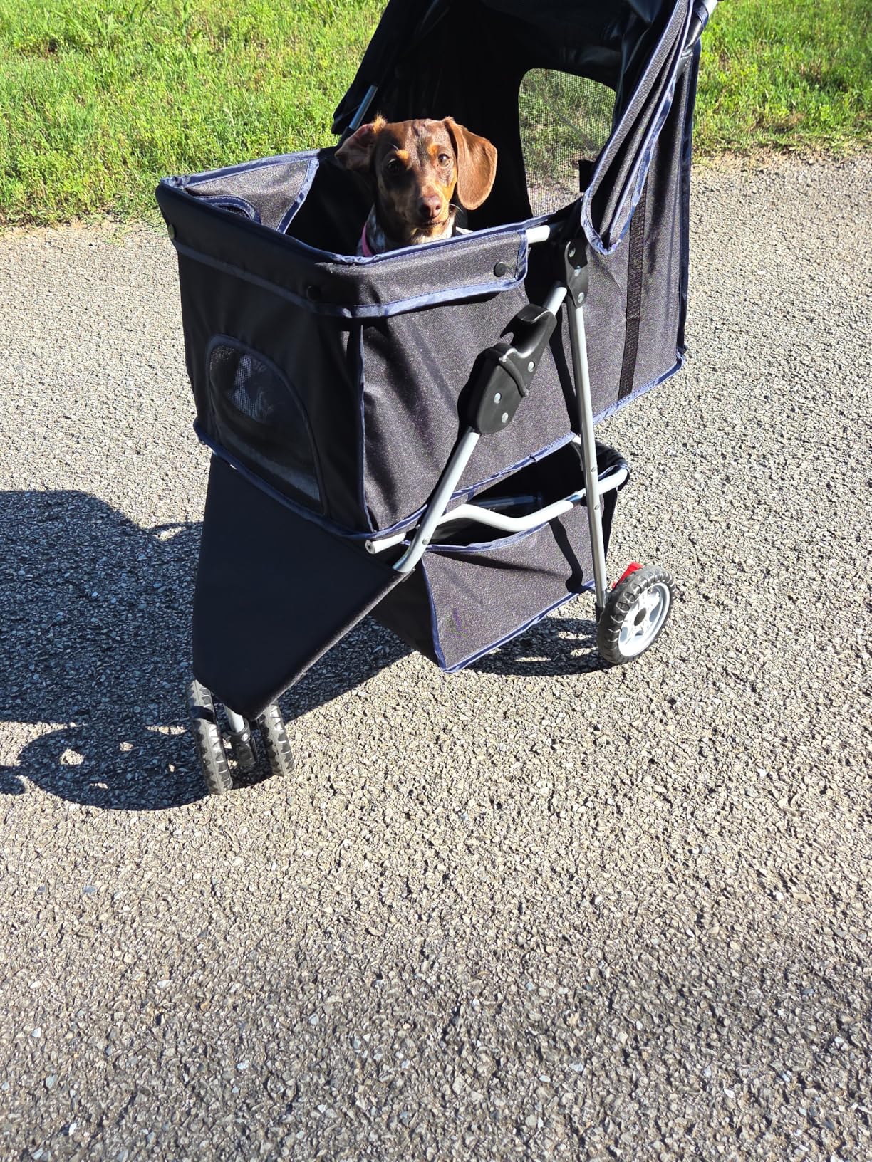 BestPet 3-Wheel Pet Stroller, Dog and Cat Stroller, Breathable Mesh, Lightweight Travel Carrier, Waterproof & Foldable Design, Storage Basket, Black customer photo 2
