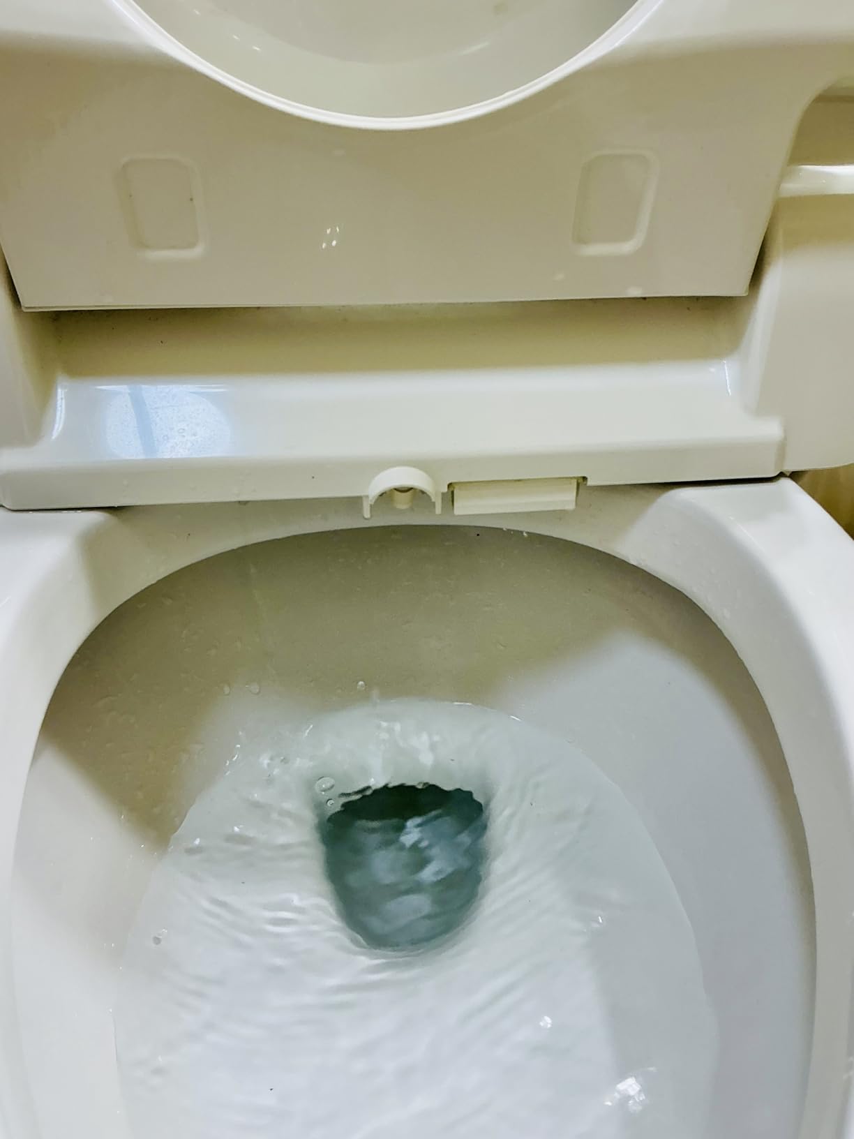 SmartBidet SB-1000 Smart Bidet Electric Bidet Toilet Seat with Heated Seat, Warm Water, Air Dryer - Remote Control, Elongated customer photo 1