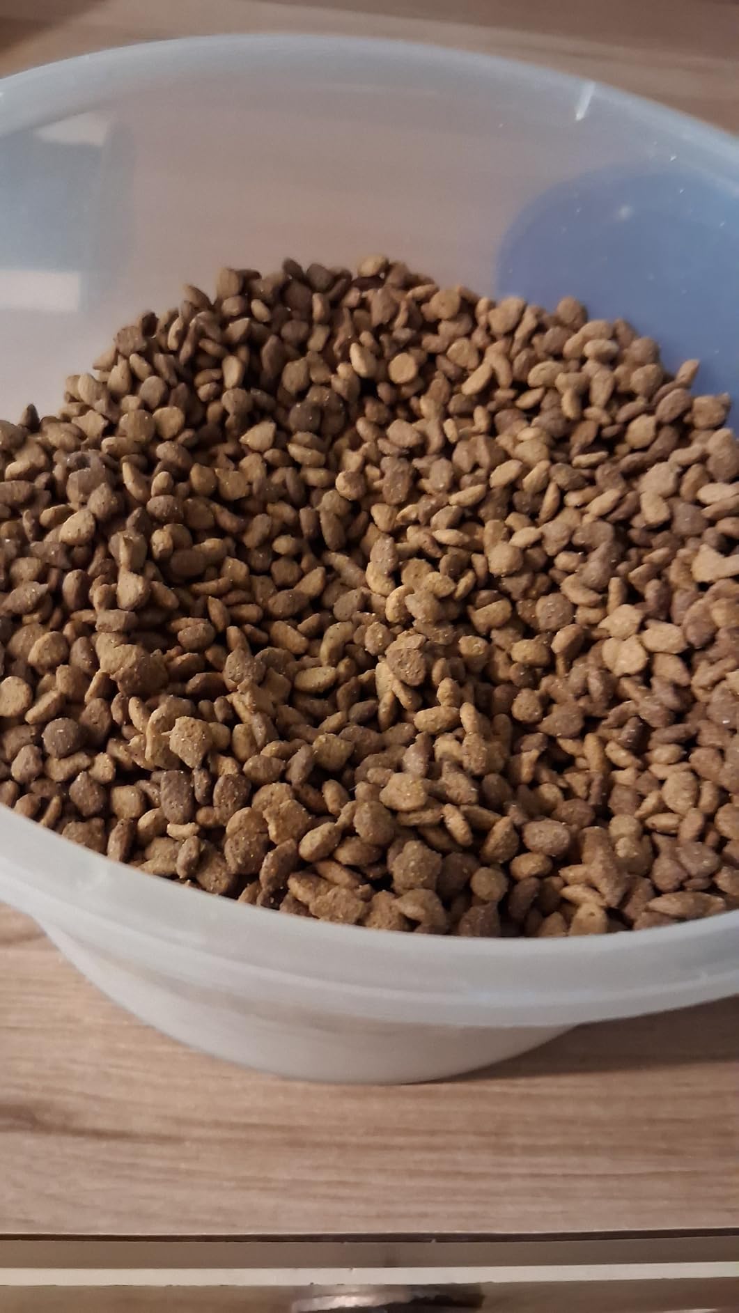 IAMS Proactive Health Dry Cat Food, Indoor Weight and Hairball Care Cat Food Dry Recipe, with Real Chicken in Every Bite, 22 lb. Bag customer photo 1