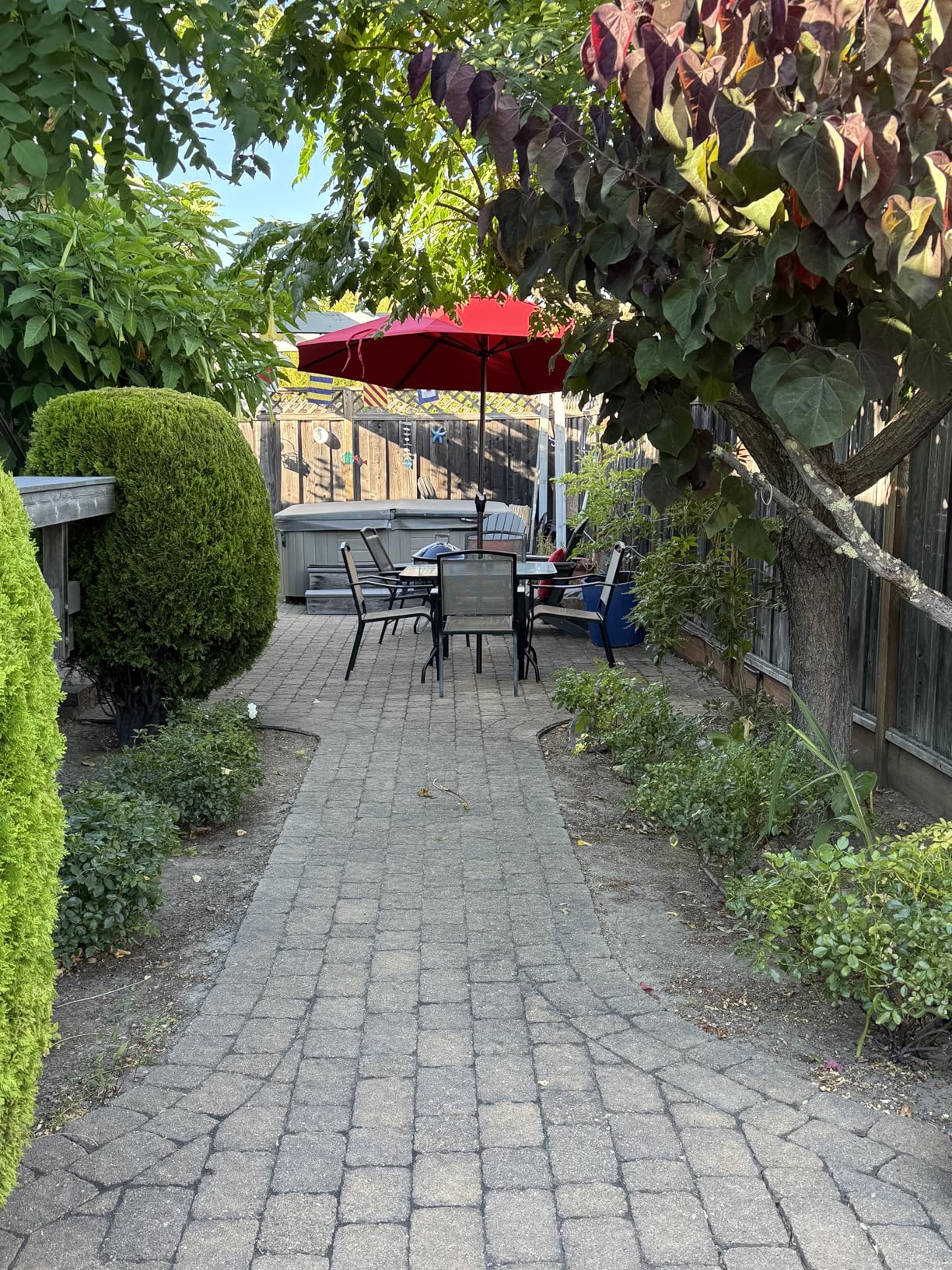 California Umbrella 9' Rd Sunbrella Aluminum Patio Umbrella, Crank Lift, Auto Tilt, Bronze Pole, Pacific Blue customer photo 2