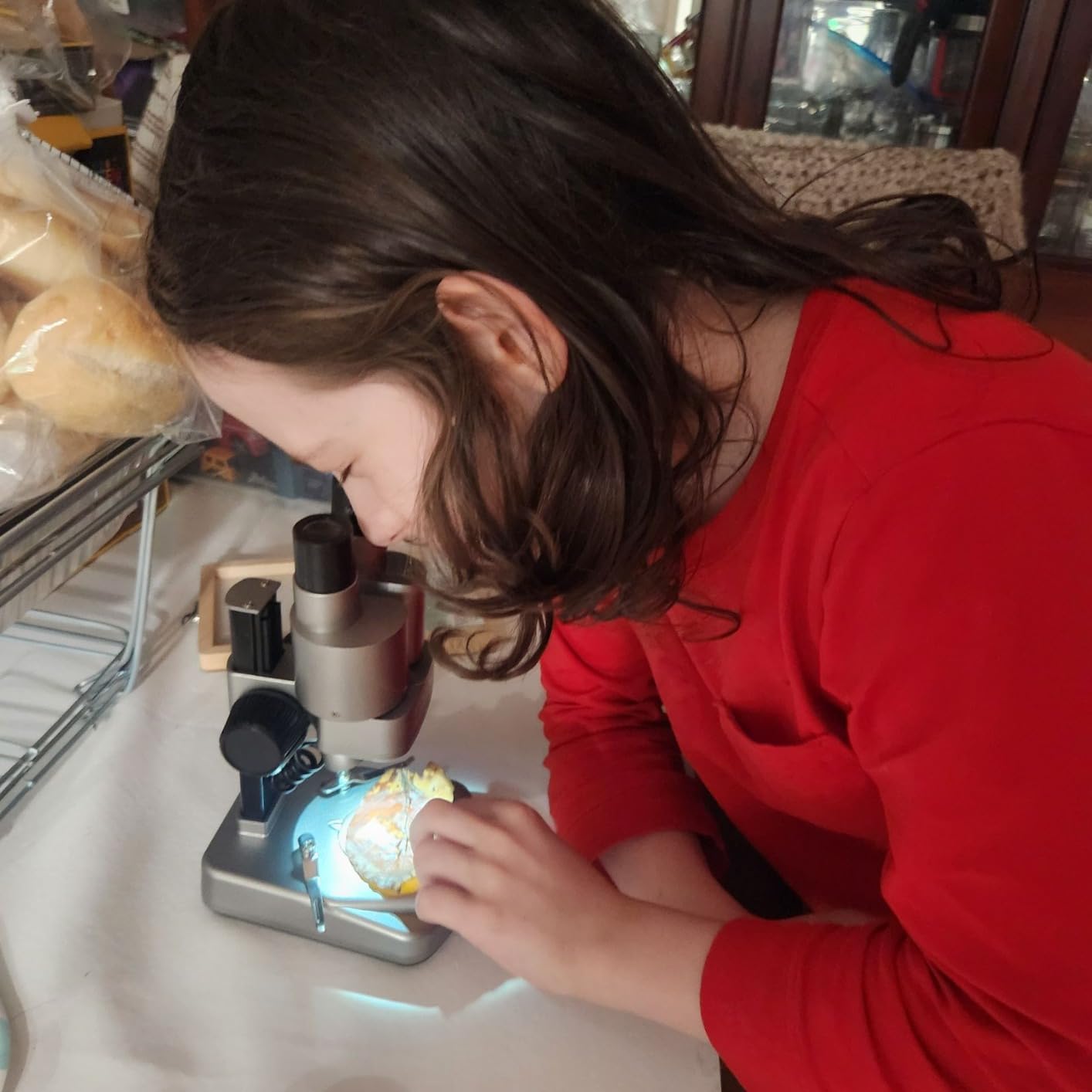 National Geographic Dual LED Kids Microscope - 50+ pc Science Kit with 10 Prepared Slides & 10 DIY Blank Slides, Biology Experiment Activity, Microscope Kit for Kids 8-12 (Amazon Exclusive) customer photo 1