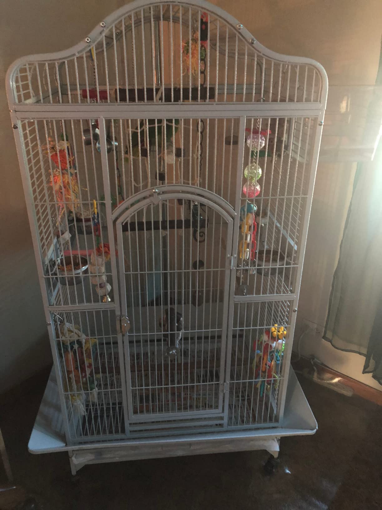 2 Color, Extra Large Wrought Iron Dome Top for Macaw Goffin's Cockatoo Cockatiels African Grey Amazon Parrots Green Cheek Conures Caique Bird Cage with Rolling Stand customer photo 2
