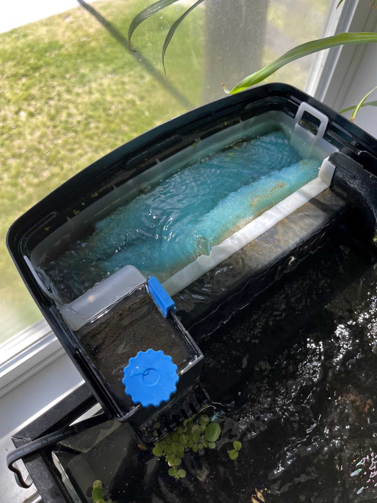 SeaChem Large Aquarium Fish Tank Filter, Tidal 110 Gallon (400 Liters) by Sicce customer photo 1