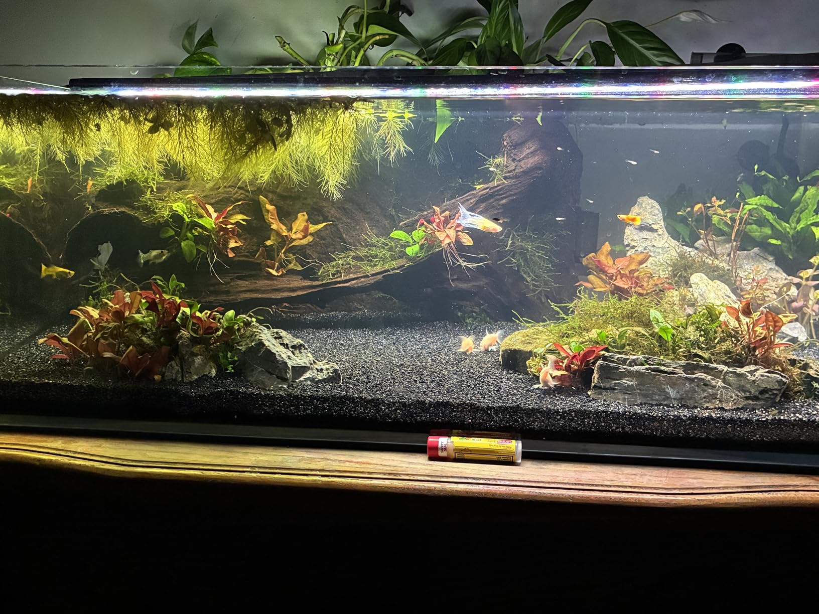 LANDEN 90P 55 Gallon Rimless Low Iron Aquarium Tank, W35.4xD19.7xH19.7 in (90x50x50cm) 10mm Thickness with Black Nano Foam Leveling Mat Included customer photo 1
