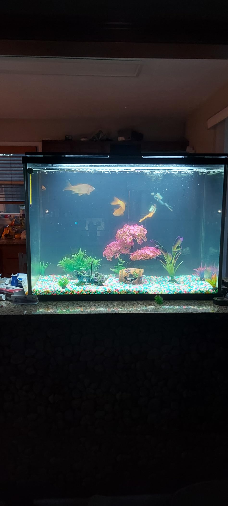 Tetra Whisper IQ Power Filter 20 Gallons, 130 GPH, with Stay Clean Technology customer photo 1