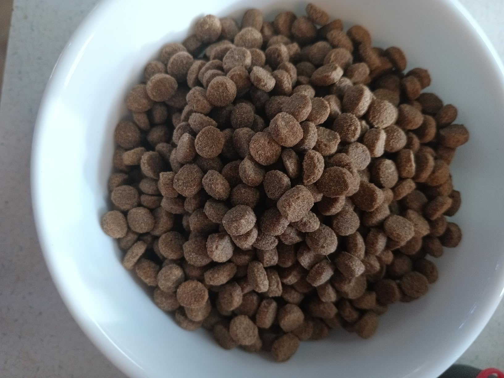 Wellness CORE+ Adult Dry Cat Food for Indoor Cats, Natural, Grain Free Kibble, Chicken, Turkey and Chicken Meal Recipe, 5 lb Bag customer photo 1