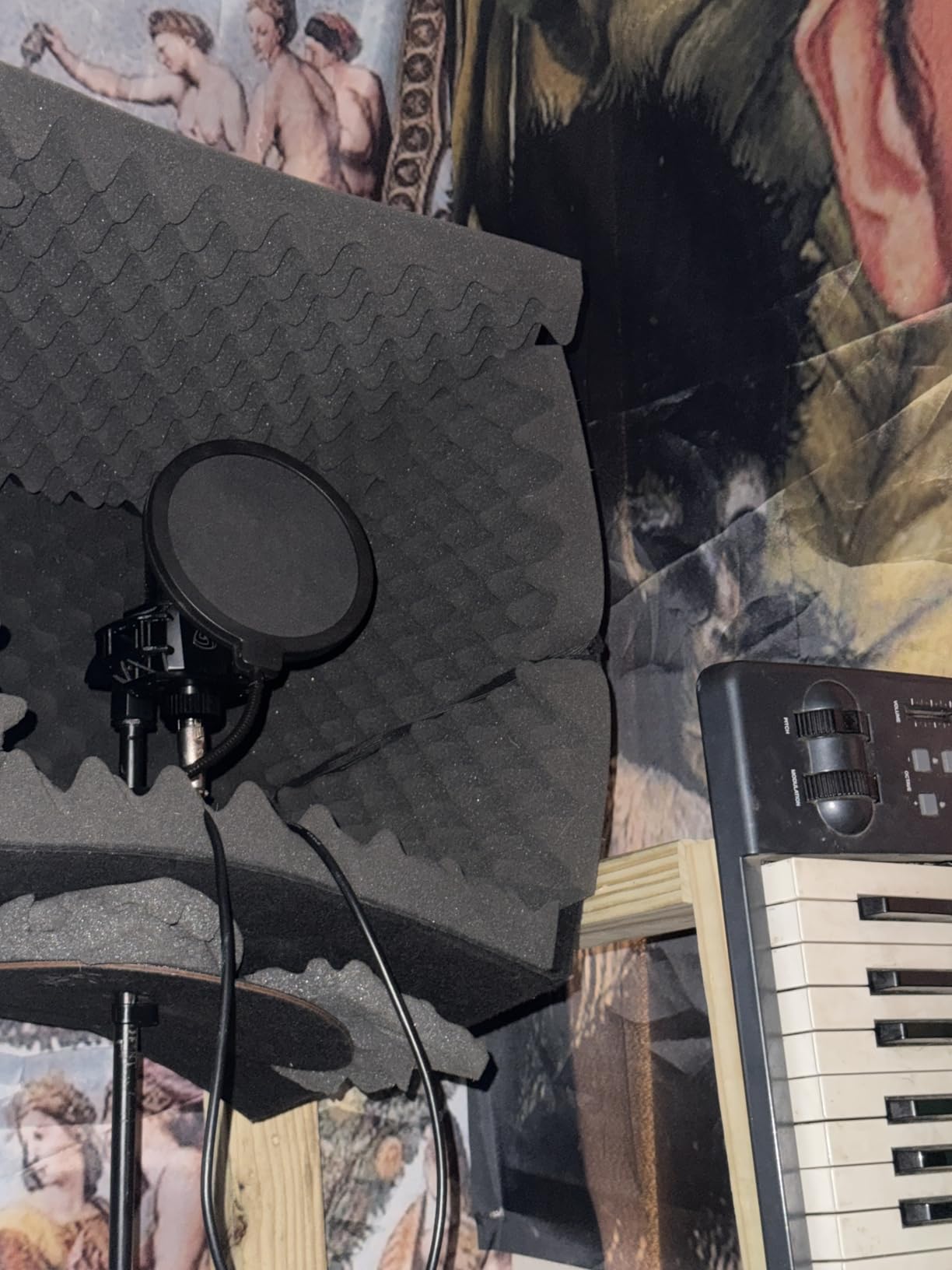 LEWITT LCT440 PURE Large Diaphragm Condenser Mic customer photo 2