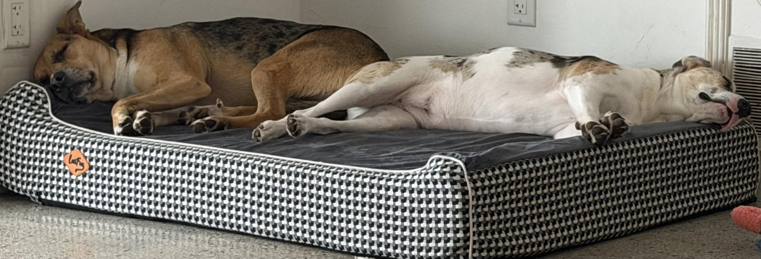 Laifug Orthopedic Dog Beds for Large Dogs, 7
