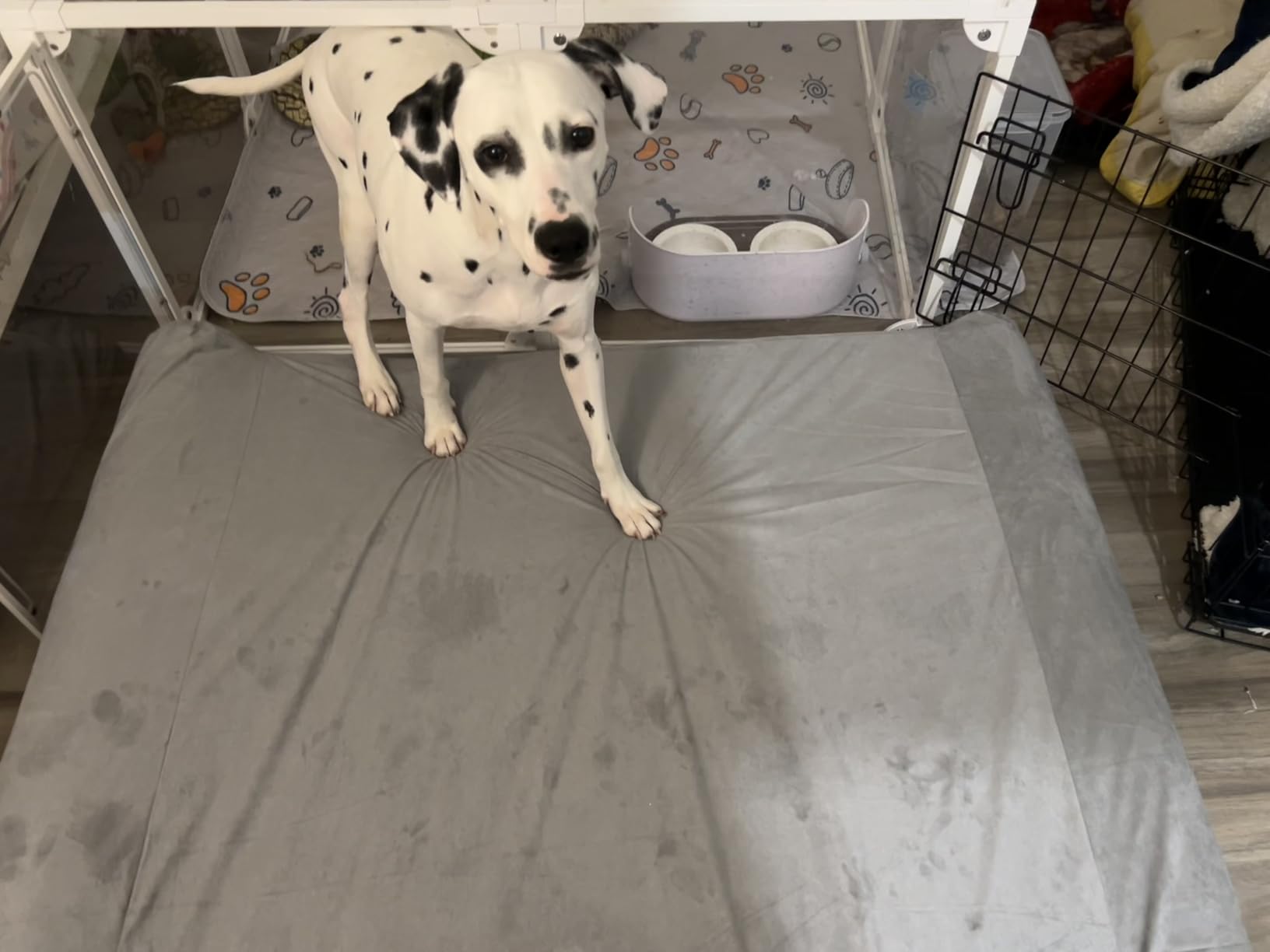 Laifug Orthopedic Dog Beds for Large Dogs, 7