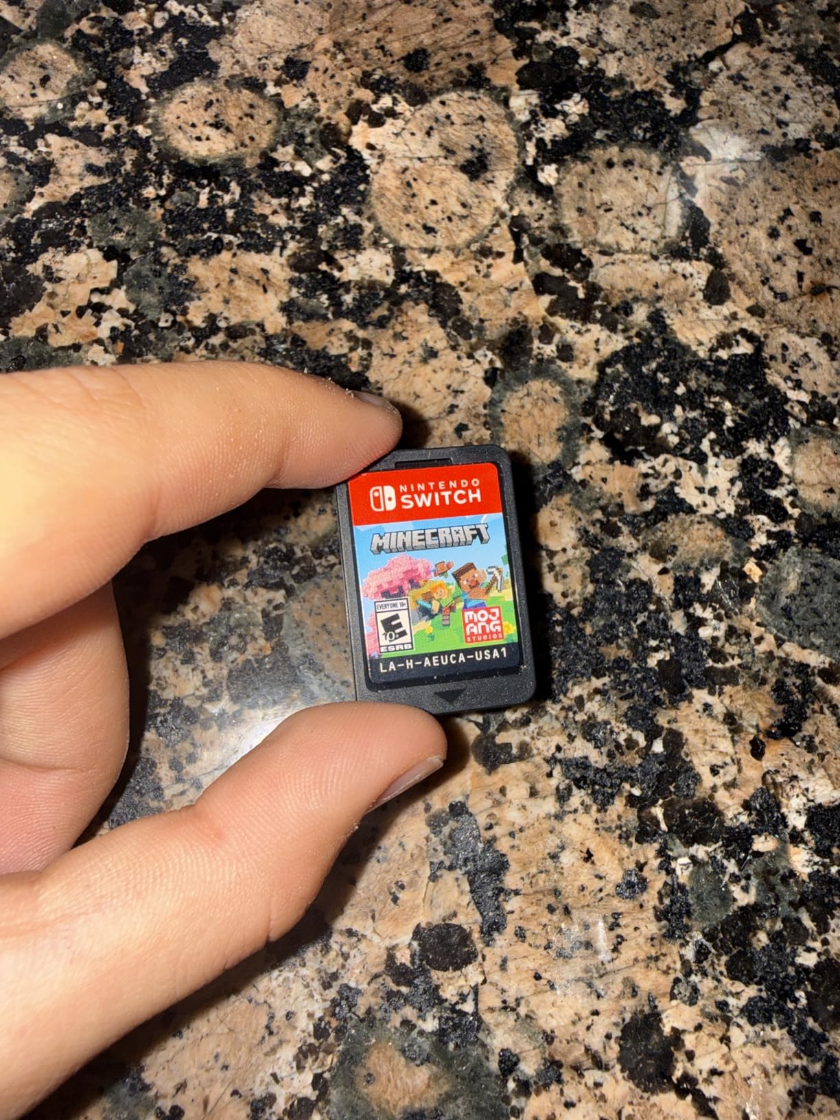 Minecraft - Nintendo Switch customer photo 2