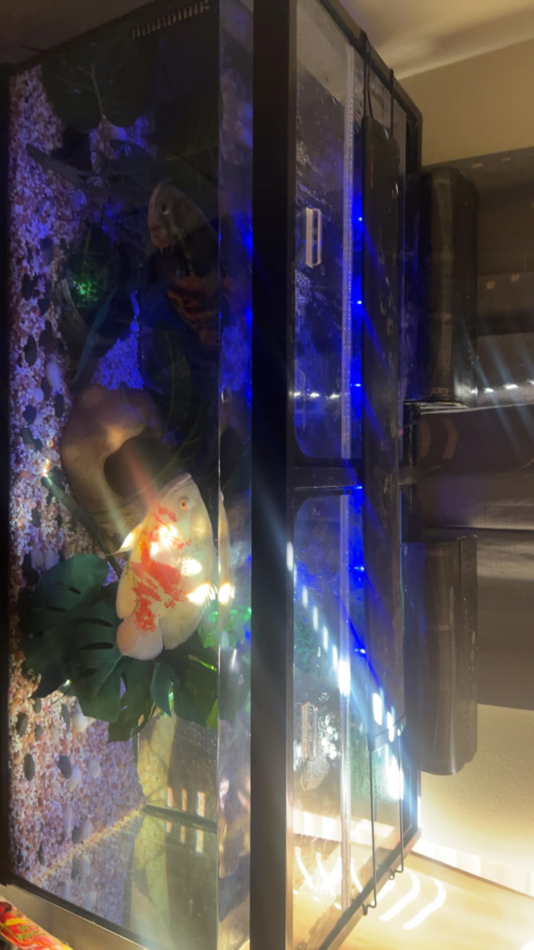 Glass Canopy Two Piece Set for Aquariums with Center Braces (Tank with Center Brace, 48
