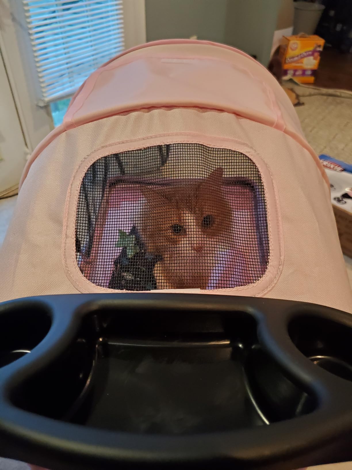 TRIXIE Foldable Pet Stroller for Cats and Dogs, Pet Carrier Strolling Cart with Weather Cover, Storage Basket, Cup Holder, Black customer photo 2