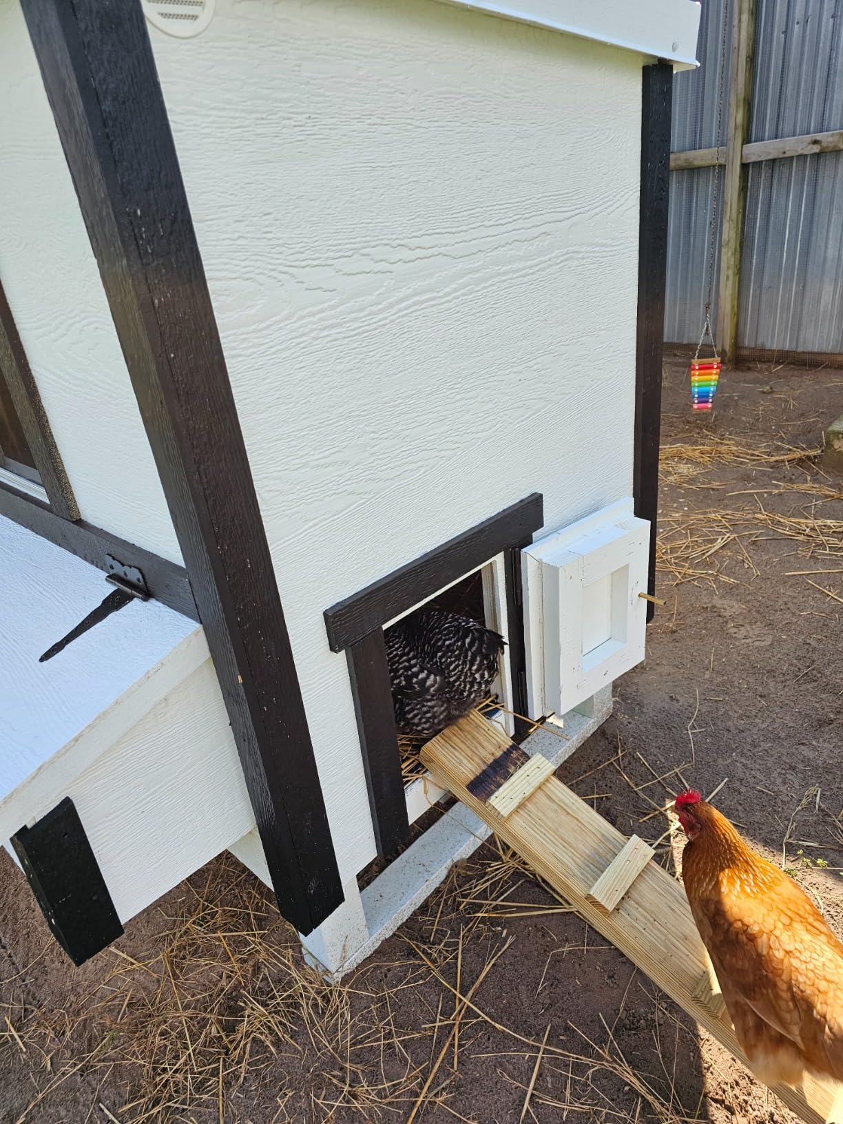 OverEZ Classic Medium Chicken Coop for up to 10 Chickens - Nesting Box - Large Bird, Poultry and Hen House, Made in USA customer photo 2