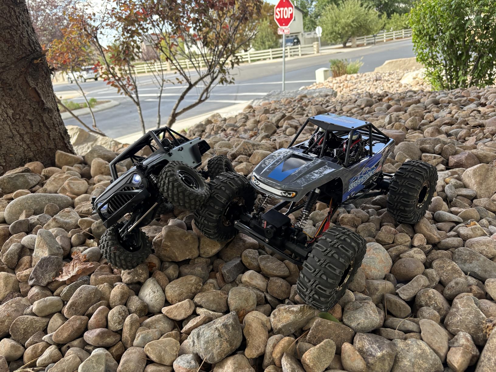 Redcat Racing Danchee Ridgerock 1/10 Scale 4WD Electric RC Rock Crawler - RC Truck RTR with 2.4GHz Radio, Dual Motors, 4-Wheel Steering, USB Charger with RC Crawler Li-ion Battery customer photo 1