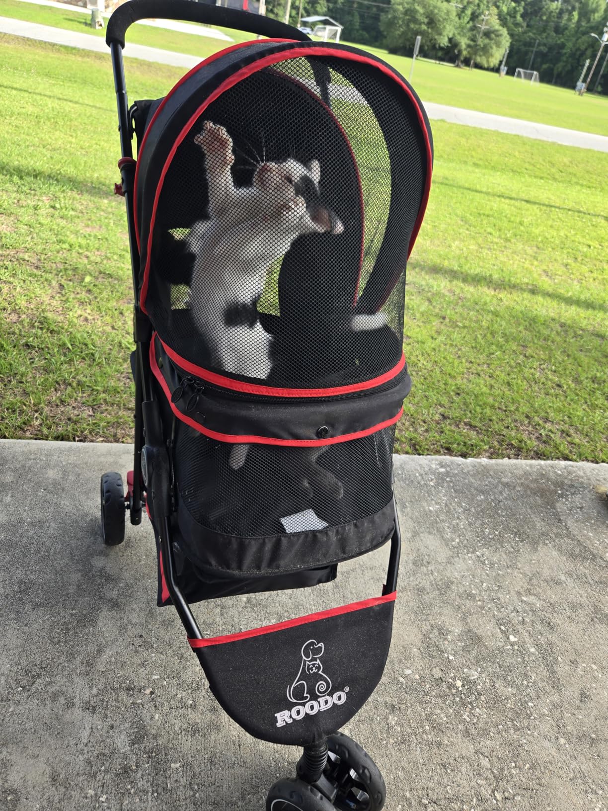 ROODO Escort 3 Wheel Dog Cat Pet Stroller for Small/Medium Dogs Cats, Lightweight Foldable Portable Compact Jogger All Terrain Travel Pet Gear System (Grey) customer photo 1