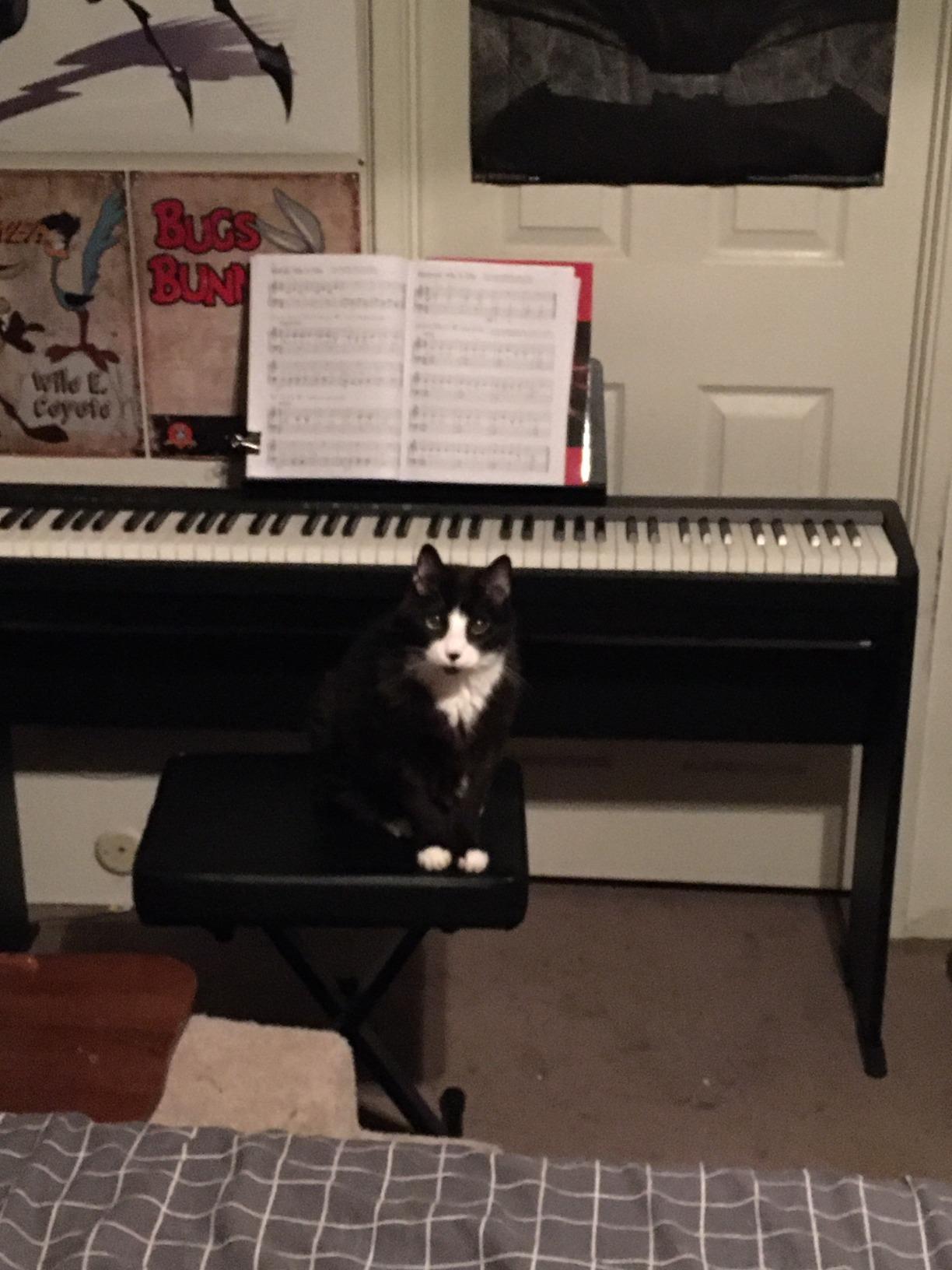 Roland FP-10 Compact 88-Note Digital Piano with SuperNATURAL Piano Tones, Bluetooth and MIDI Connectivity customer photo 2