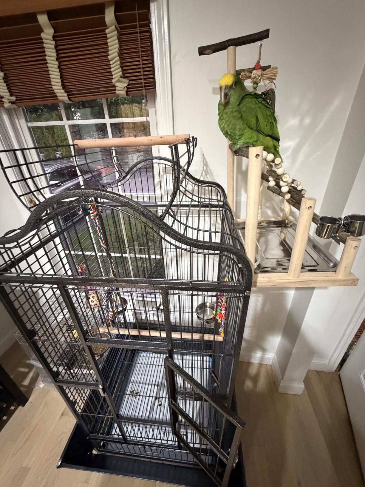 Yaheetech Extra Large Bird Cage 63'' Open Play Top Bird Cage for African Grey Parrots/Amazon Parrot/Caiques/Macaw with 360 Degree Wheels customer photo 2