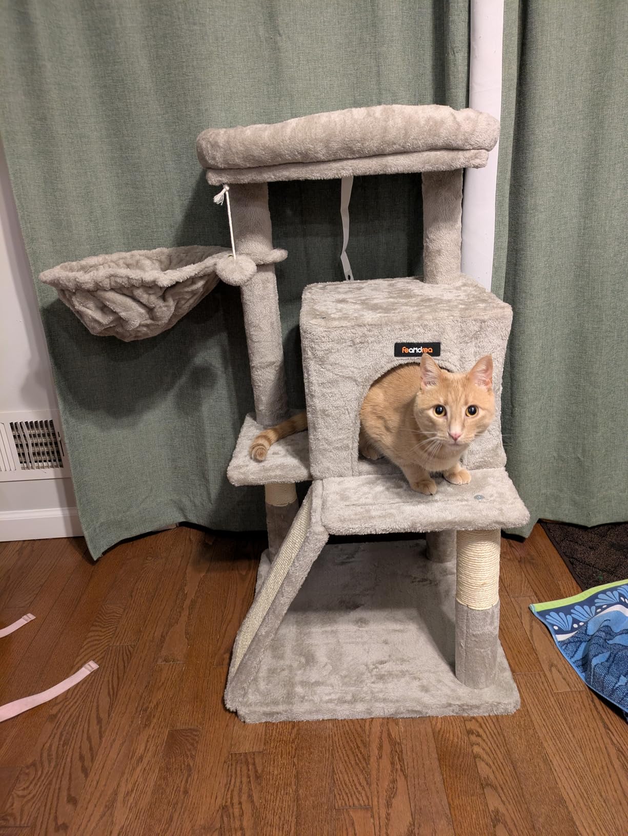 Feandrea Cat Tree, 37.8-Inch Cat Tower, Multi-Level Condo with Widened Perch, Scratching Posts and Ramp, 2-Door Cave, Hammock, Light Gray UPCT51W customer photo 2