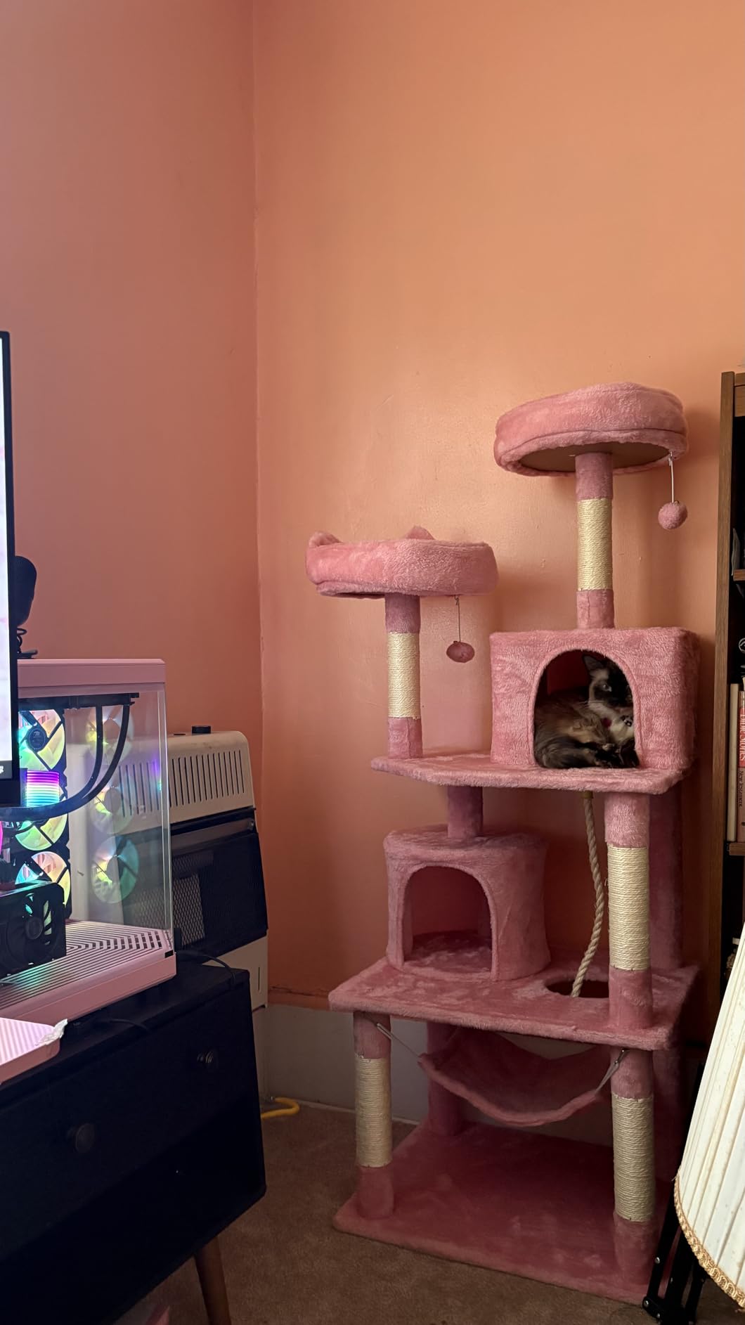Yaheetech 62.5inches Cat Tree Cat Tower Cat Condo with Platform & Hammock, Scratching Posts for Kittens Pet Play House with Plush Perch for Indoor Activity Relaxing, Dark Gray customer photo 1