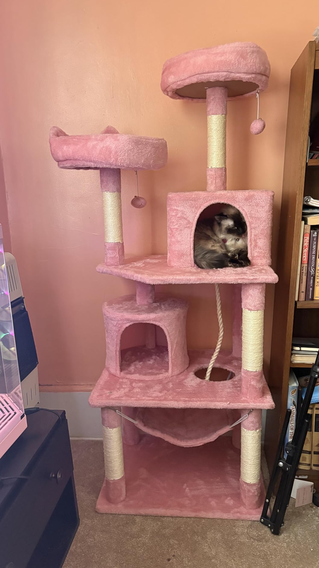 Yaheetech 62.5inches Cat Tree Cat Tower Cat Condo with Platform & Hammock, Scratching Posts for Kittens Pet Play House with Plush Perch for Indoor Activity Relaxing, Dark Gray customer photo 2