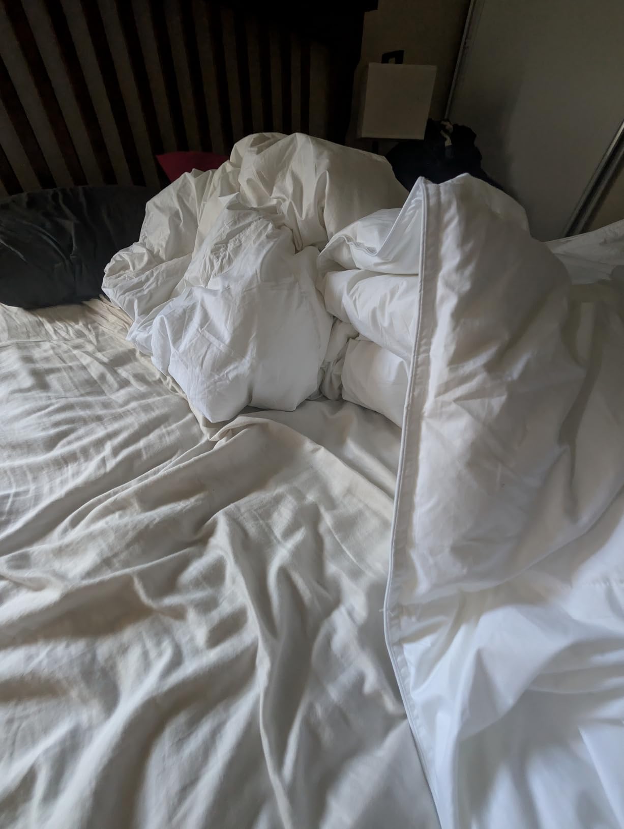 Serta Goose Feather Down Fiber Comforter King Size - 100% Cotton Cover Duvet Insert - Hotel Luxury Hypoallergenic Bedding Comforter Light Warmth 106 x 90 Inch White customer photo 1