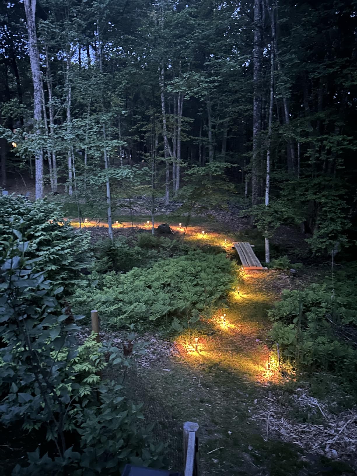 LEONLITE 12-Pack Low Voltage Path Lights, 3W LED Landscape Pathway Lights, Outdoor Landscape Lighting for Driveway, Garden, Aluminum, 12-24V AC/DC, ETL Listed, IP65 Waterproof, 3000K Warm White, Black customer photo 2