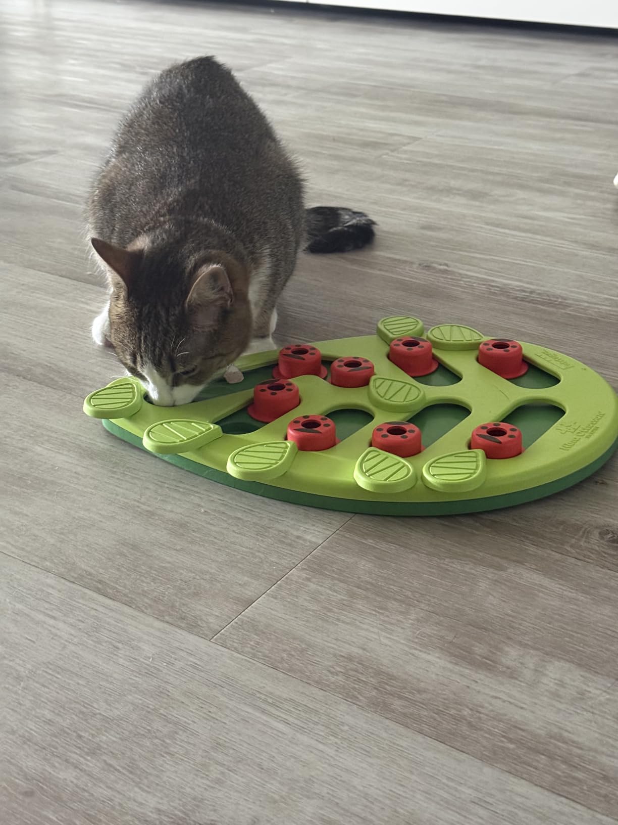 Catstages Nina Ottosson Buggin' Out Puzzle & Play Cat Puzzle Feeder - Interactive Treat Game, Level 2 Slow Feeder customer photo 1