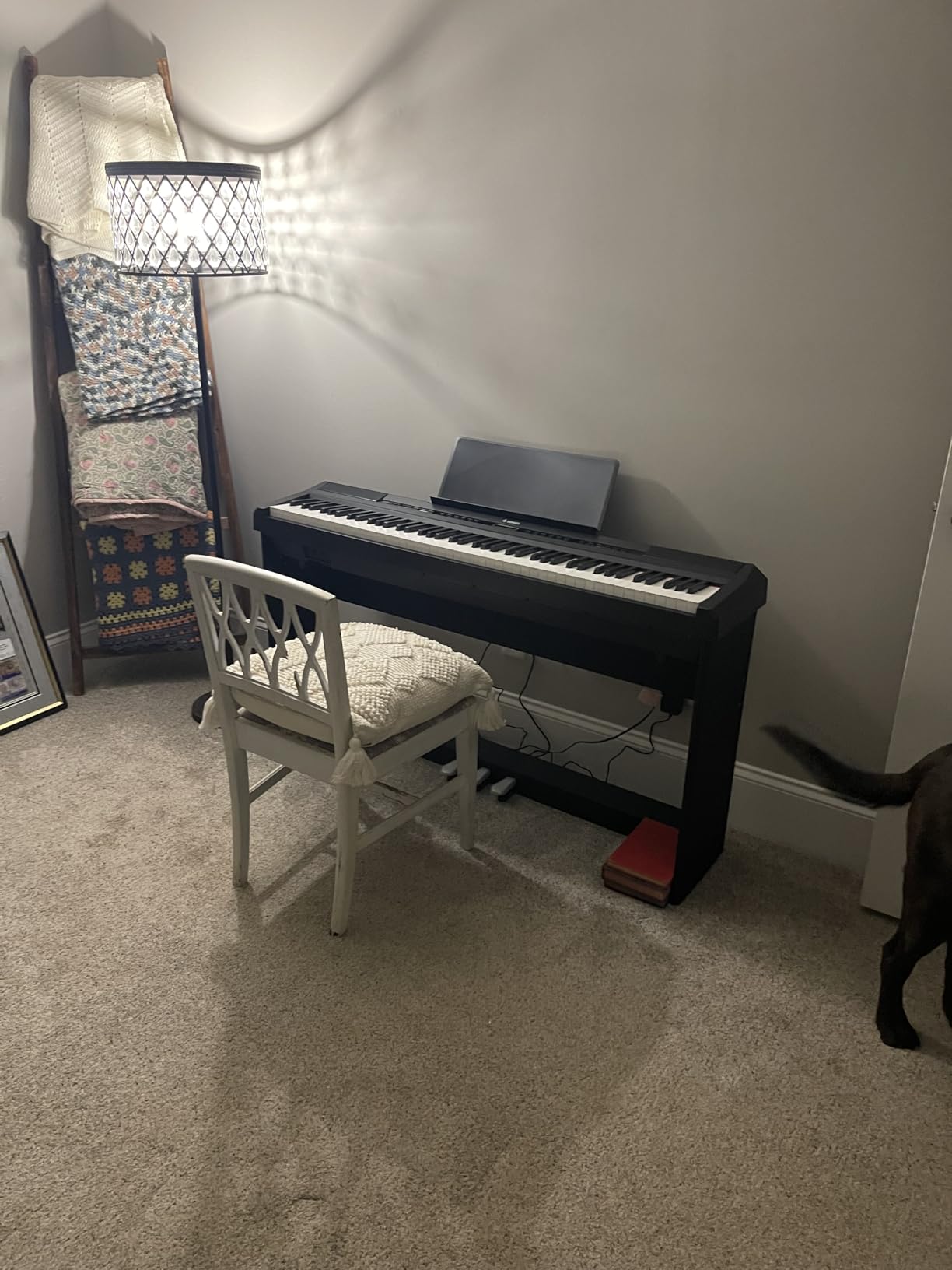 Donner DEP-20 Beginner Digital Piano 88 Key Full Size Weighted Keyboard, Portable Electric Piano with Furniture Stand and 3-Pedal Unit customer photo 1