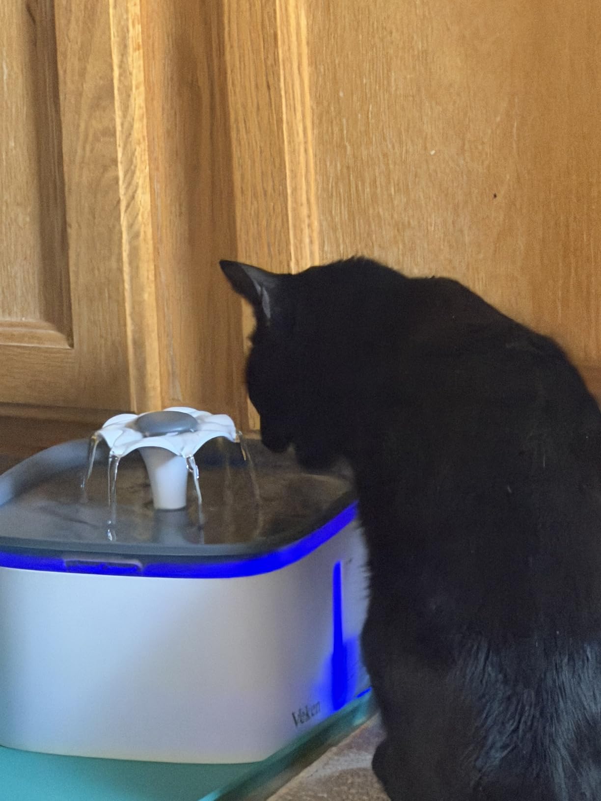 Veken Pet Fountain 95oz/2.8L Automatic Cat Water Fountain Dog Water Dispenser with Replacement Filters customer photo 1