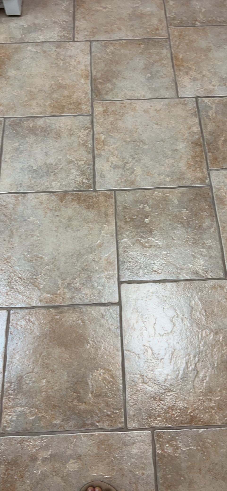 Prolux Core Heavy Duty 15 inch Floor Buffer Scrubber and Polisher Machine customer photo 2