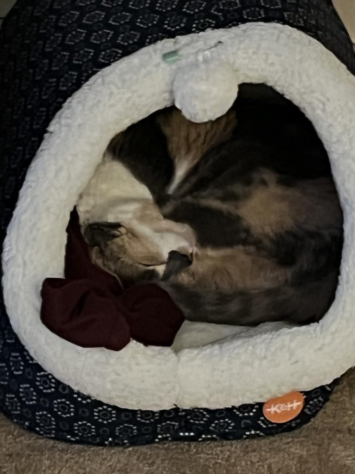 K&H Pet Products Heated Cat Bed - Thermo-Pet Cave for Large Cats, Indoor Heated Pet Bed for Dogs & Cats, Covered Cave Pet Tent, Collapsible, Machine Washable, Safety Listed - 17 X 15 X 13in Gray customer photo 2