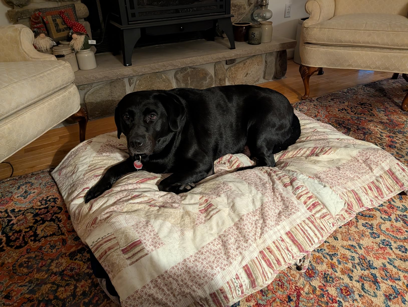 Magic Dog Super Comfy Dog Bed for Large Dogs, 47