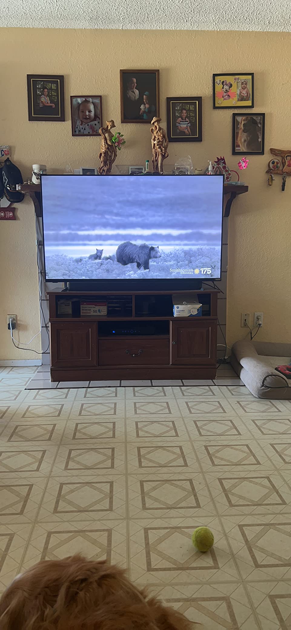VIZIO 75-Inch M-Series 4K QLED HDR Smart TV w/Voice Remote, Dolby Vision, HDR10+, Alexa Compatibility, M75Q7-J03, 2022 Model customer photo 2