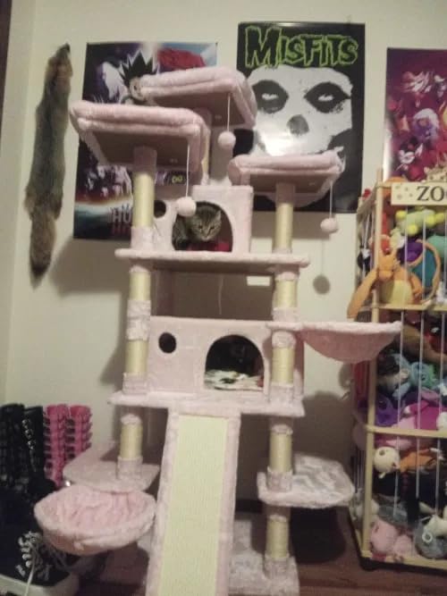 SHA CERLIN 68 Inches Multi-Level Large Cat Tree for Large Kitties/Big Cat Tower with Condo/Cozy Plush Pussycat Perches/Sisal Scratching Posts and Hammocks/Activity Center/Beige customer photo 1
