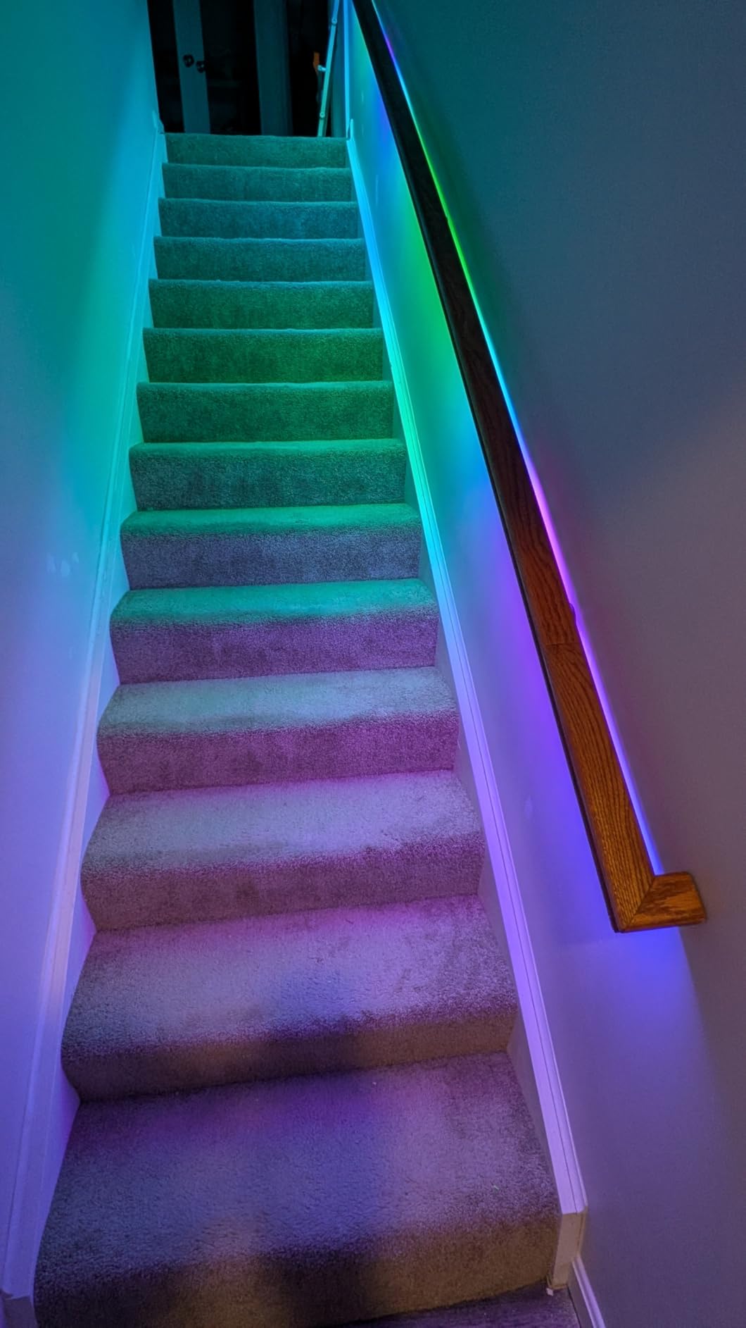 TP-Link Kasa LED Light Strip, 50 Color Zones RGBIC, 16.4ft Wi-Fi LED Strip Works w/ Alexa, Google Home & SmartThings, High Brightness, 16M Colors, PU Coating, Trimmable, 2 Yr Warranty (KL420L5) customer photo 2
