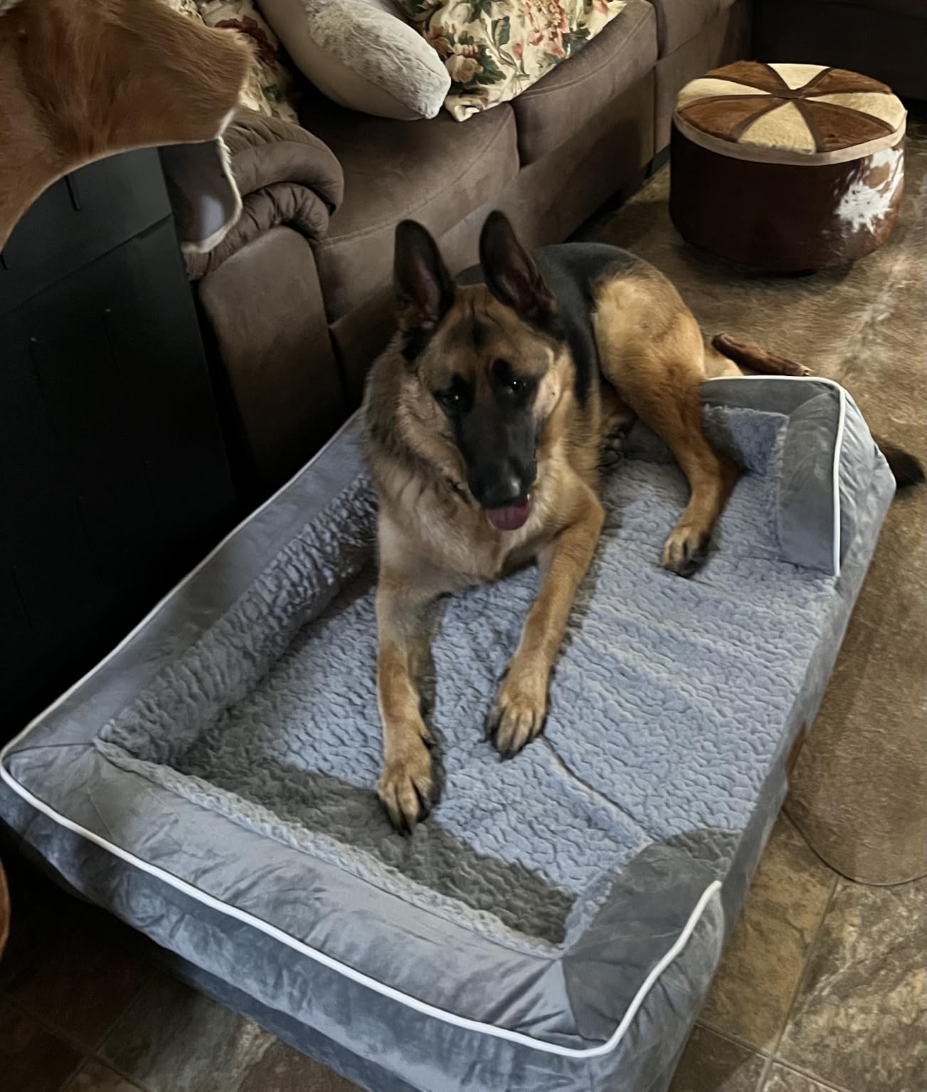 Comfort Expression Orthopedic Dog Bed for Extra Large Dogs 42x30 Inch, Waterproof Egg Crate Foam XL Pet Bed with Removable Bolsters, Dog Couch with Washable Cover & Non-Slip Bottom, Grey customer photo 1