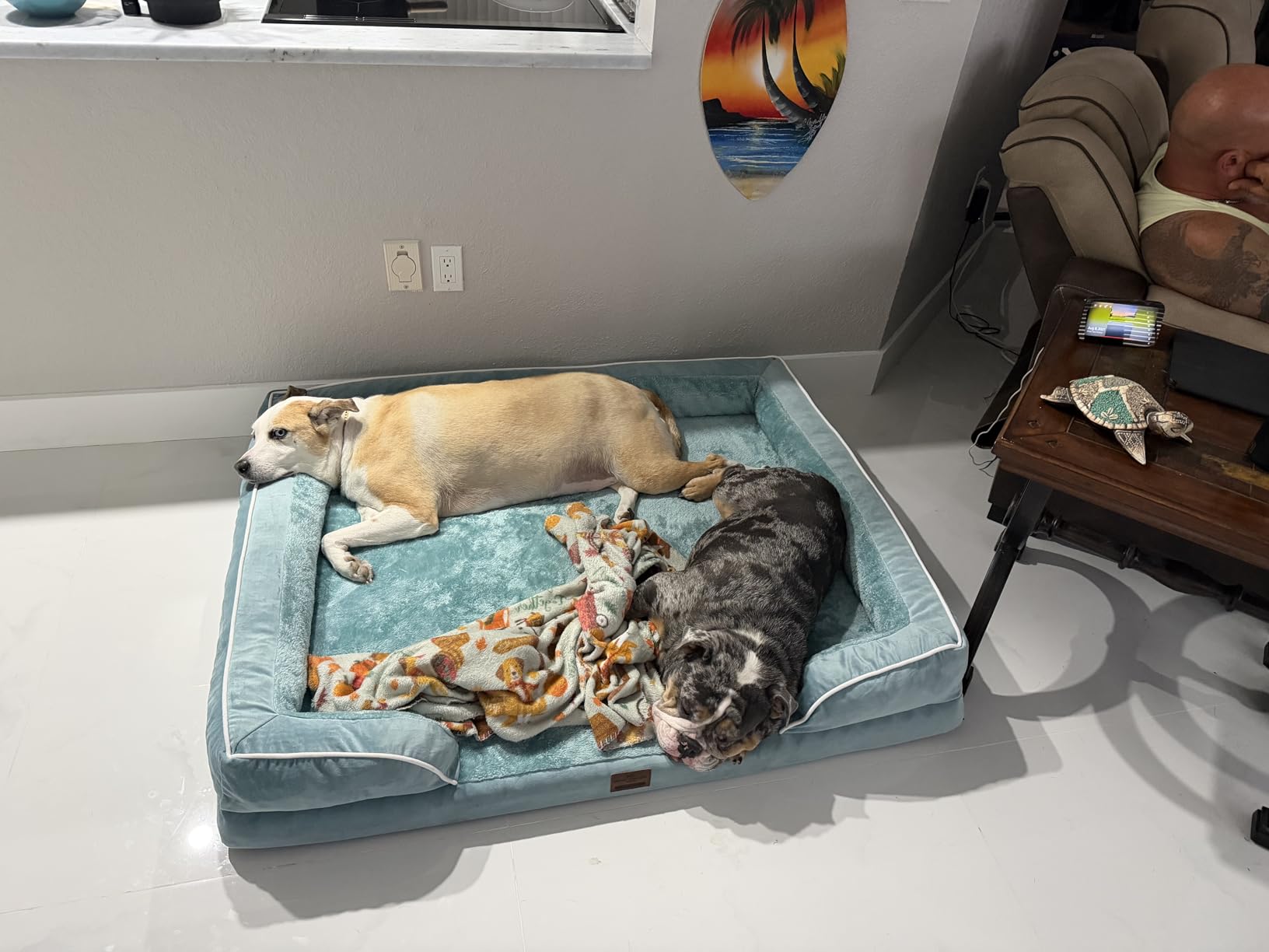 Comfort Expression Orthopedic Dog Bed for Extra Large Dogs 42x30 Inch, Waterproof Egg Crate Foam XL Pet Bed with Removable Bolsters, Dog Couch with Washable Cover & Non-Slip Bottom, Grey customer photo 2