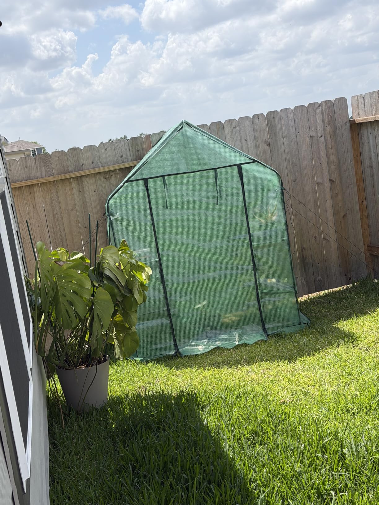 Greenhouse for Outdoors with Screen Windows, Ohuhu Upgraded 4 Tiers 11 Shelves Walk-in Greenhouses with Durable PE Cover, Outside Garden Plastic Green House with Ground Pegs & Ropes for Stability customer photo 1