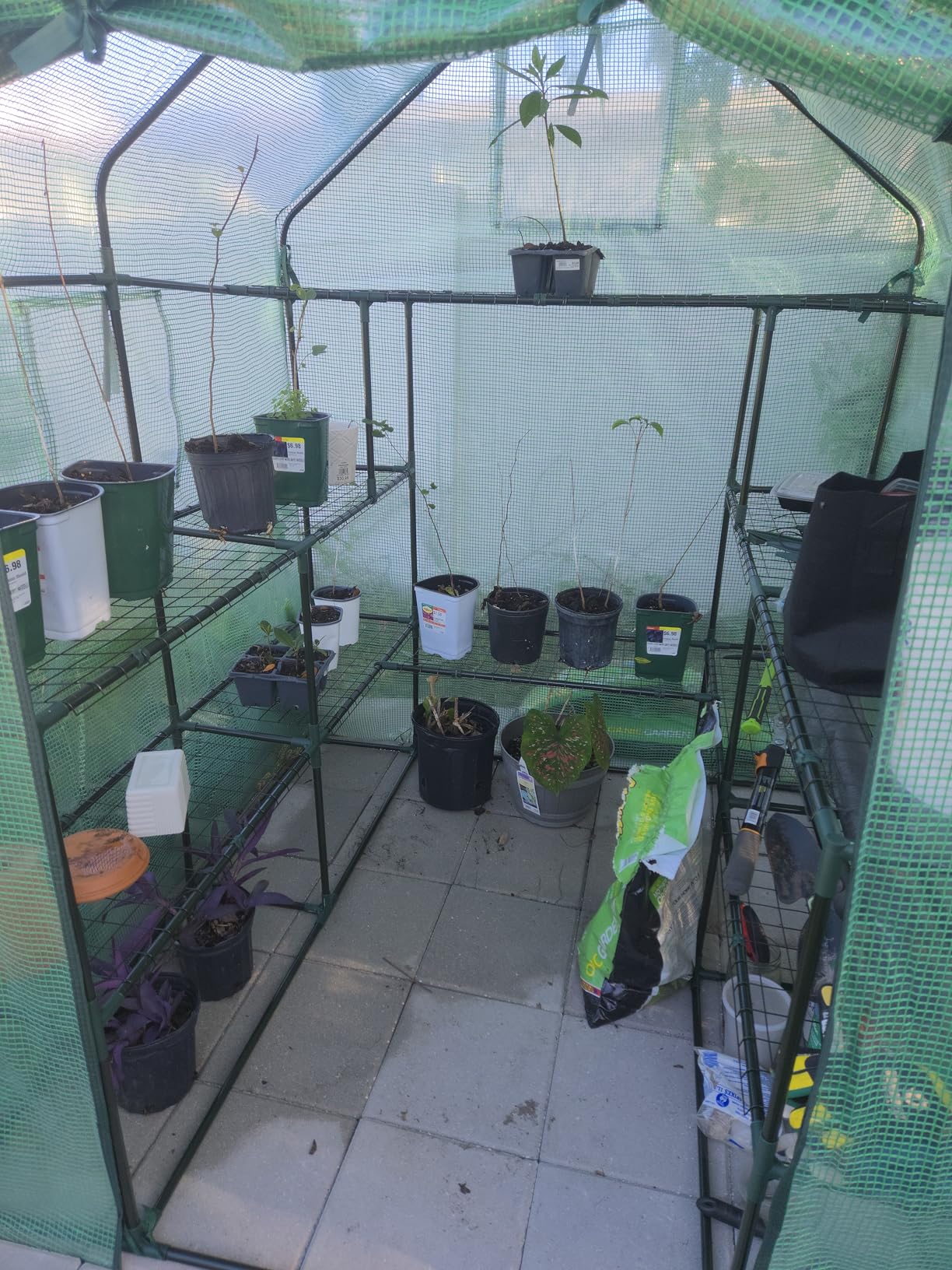 Greenhouse for Outdoors with Screen Windows, Ohuhu Upgraded 4 Tiers 11 Shelves Walk-in Greenhouses with Durable PE Cover, Outside Garden Plastic Green House with Ground Pegs & Ropes for Stability customer photo 2