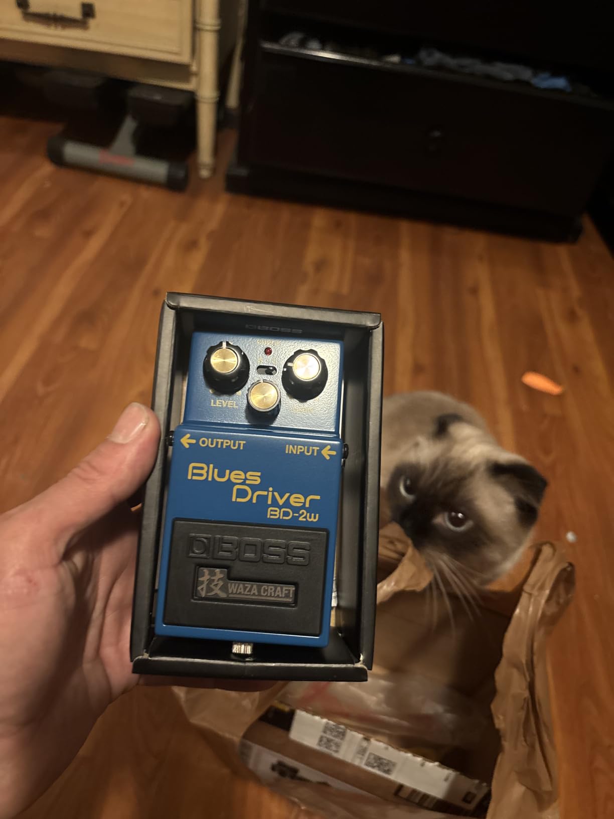 Boss DS-1W Waza Craft Distortion Pedal customer photo 2