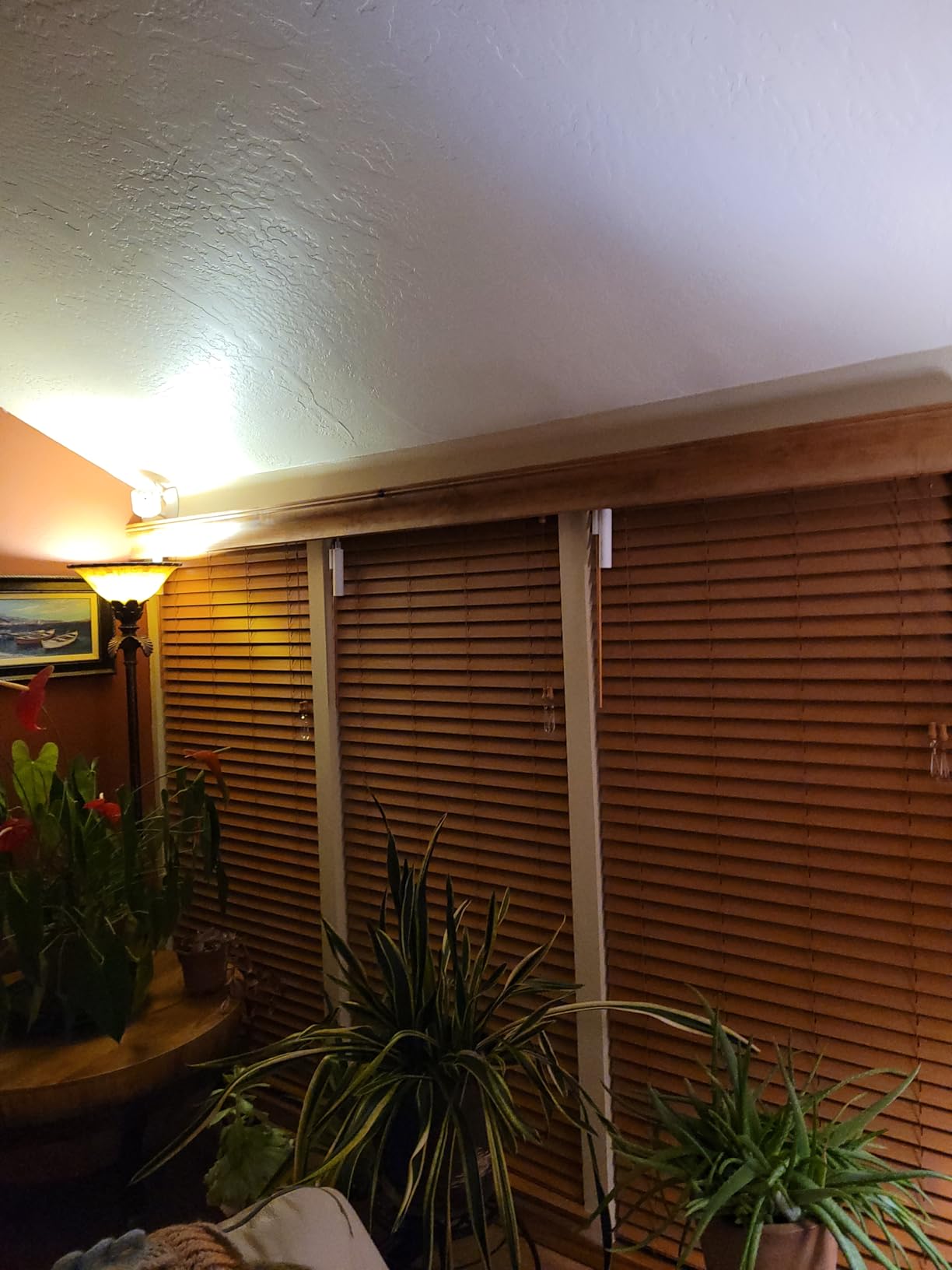 SwitchBot Smart Electric Motorized Blinds Kit - 3Pack with 2.4G WiFi Remote Control, Solar Powered, Compatible with Alexa, Google Home and Siri, Light Sensing Control, Unlimited Group Control customer photo 2