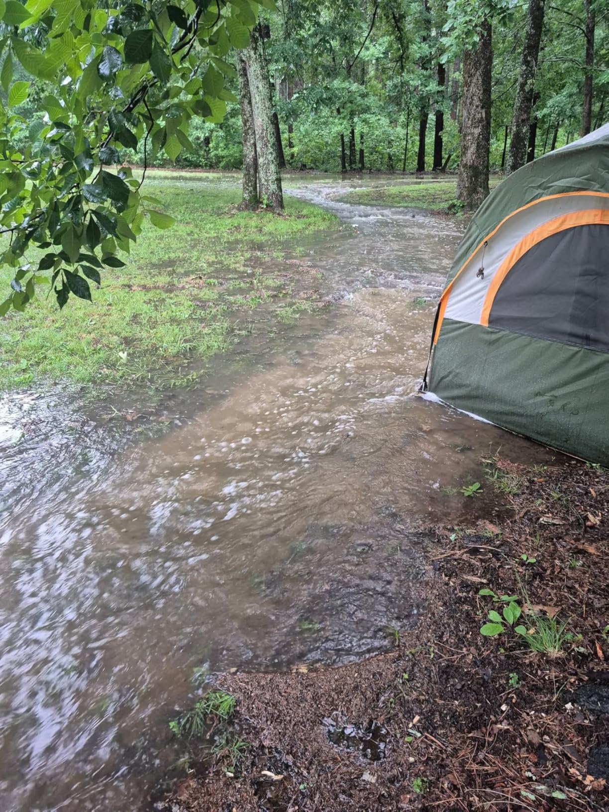 GoHimal 8 Person Tent for Camping, Waterproof Windproof Family Tent with Rainfly customer photo 1